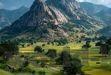 国产视频一区二区在线观看-国产视频一区二区在线观看，网络文化与版权保护的平衡